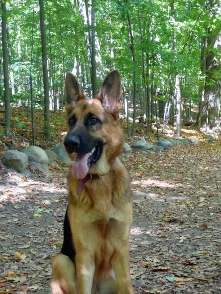 Lexi in park